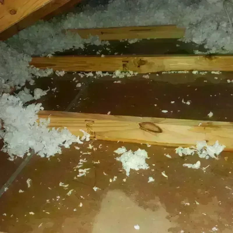 Attic Water Damage in Mount Carroll, IL