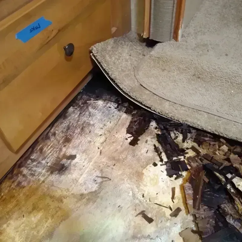 Best Wood Floor Water Damage Service in Mount Carroll, IL